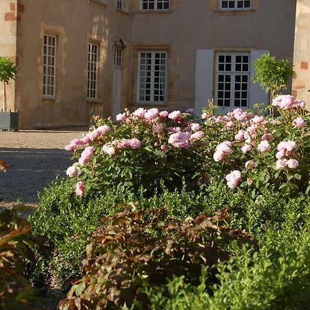 Chateau Du Riau Bed and Breakfast Villeneuve-sur-Allier Exteriör bild