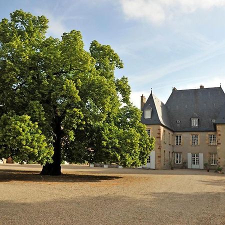 Chateau Du Riau Bed and Breakfast Villeneuve-sur-Allier Exteriör bild