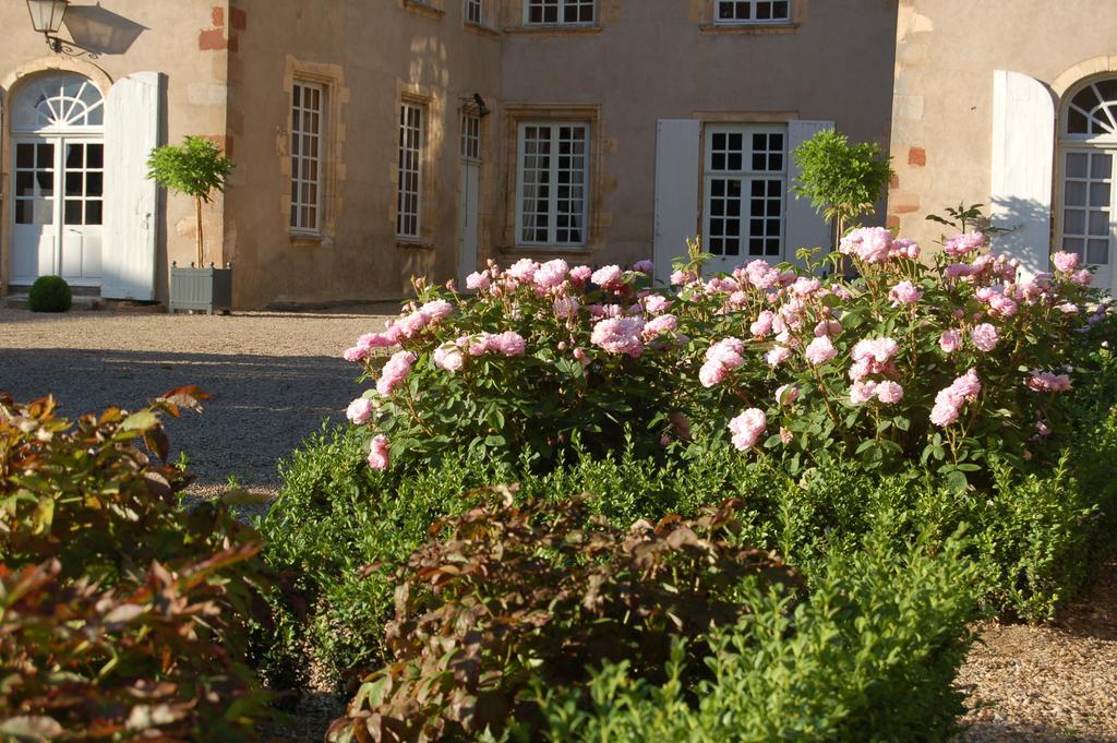Chateau Du Riau Bed and Breakfast Villeneuve-sur-Allier Exteriör bild