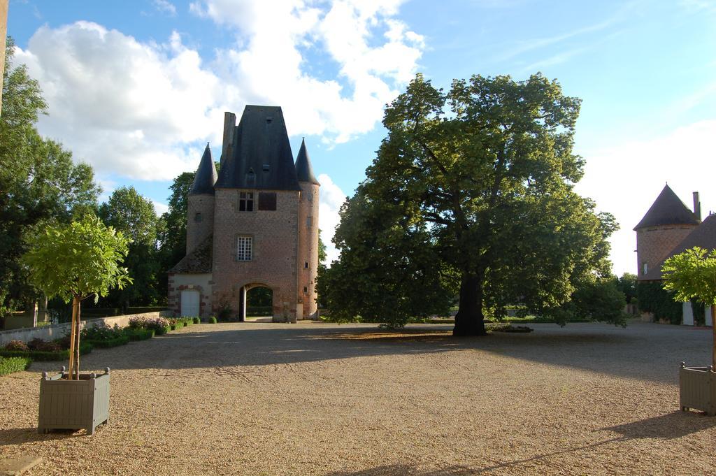 Chateau Du Riau Bed and Breakfast Villeneuve-sur-Allier Exteriör bild