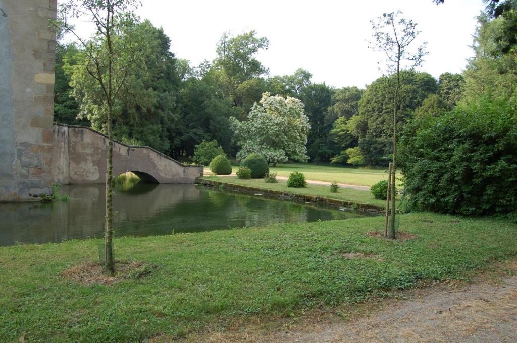 Chateau Du Riau Bed and Breakfast Villeneuve-sur-Allier Exteriör bild