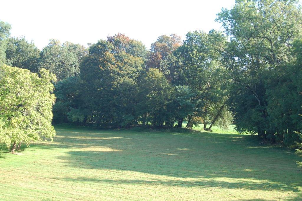 Chateau Du Riau Bed and Breakfast Villeneuve-sur-Allier Exteriör bild