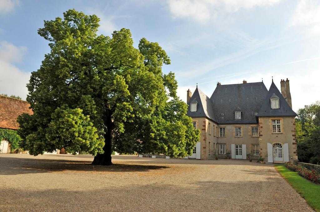Chateau Du Riau Bed and Breakfast Villeneuve-sur-Allier Exteriör bild